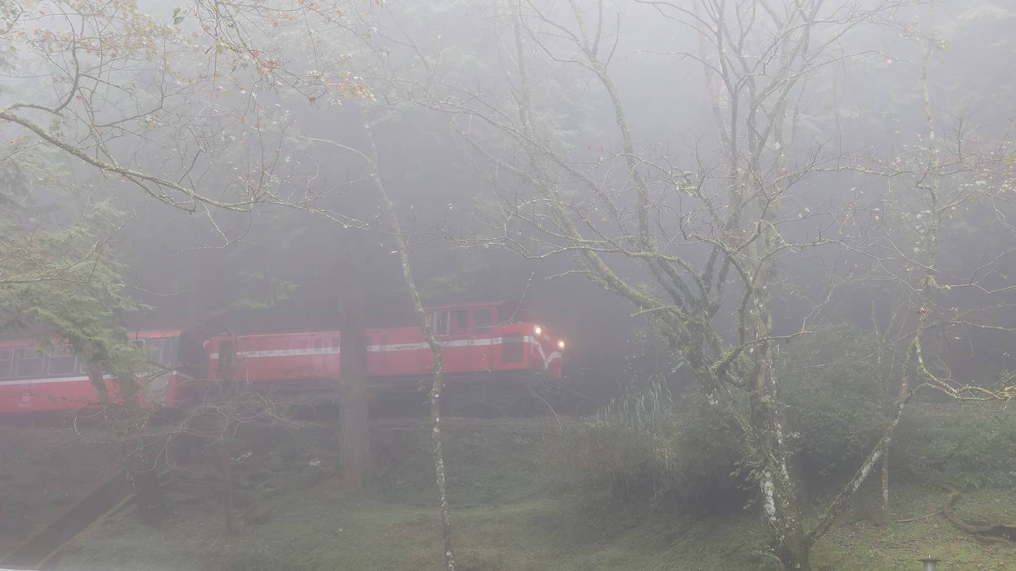 05 - Alishan (74).jpg